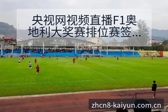 央视网视频直播F1奥地利大奖赛排位赛签表变化深度解析 - 开云